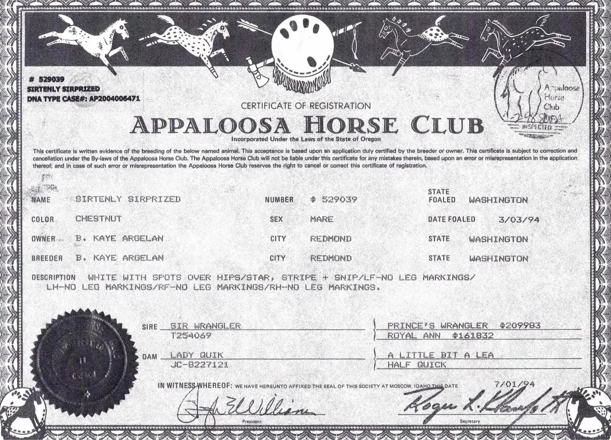 Sirtenly Sirprized - Certificate of Foal Registration - Appaloosa Horse Club
