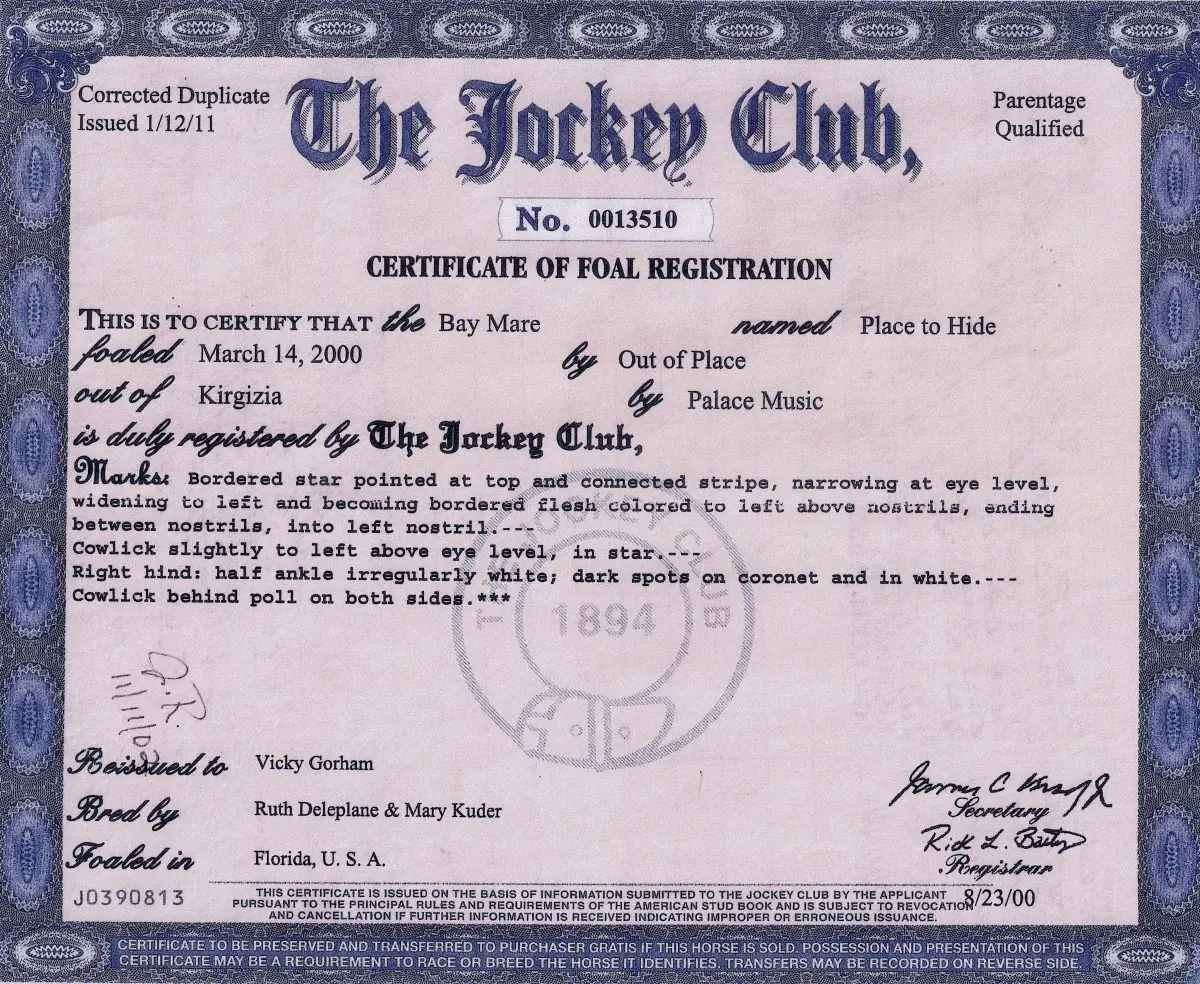 Place To Hide - Certificate of Foal Registration - The Jockey Club