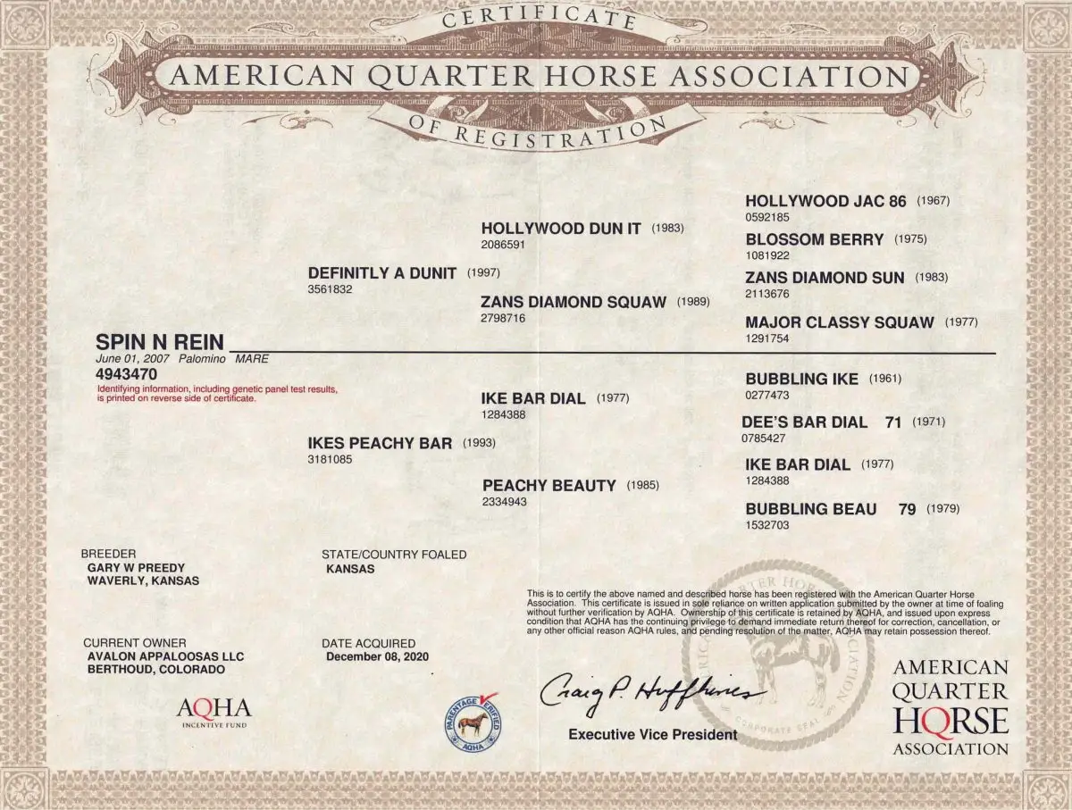 Spin N Rein - American Quarter Horse Association - Certificate of Foal Registration