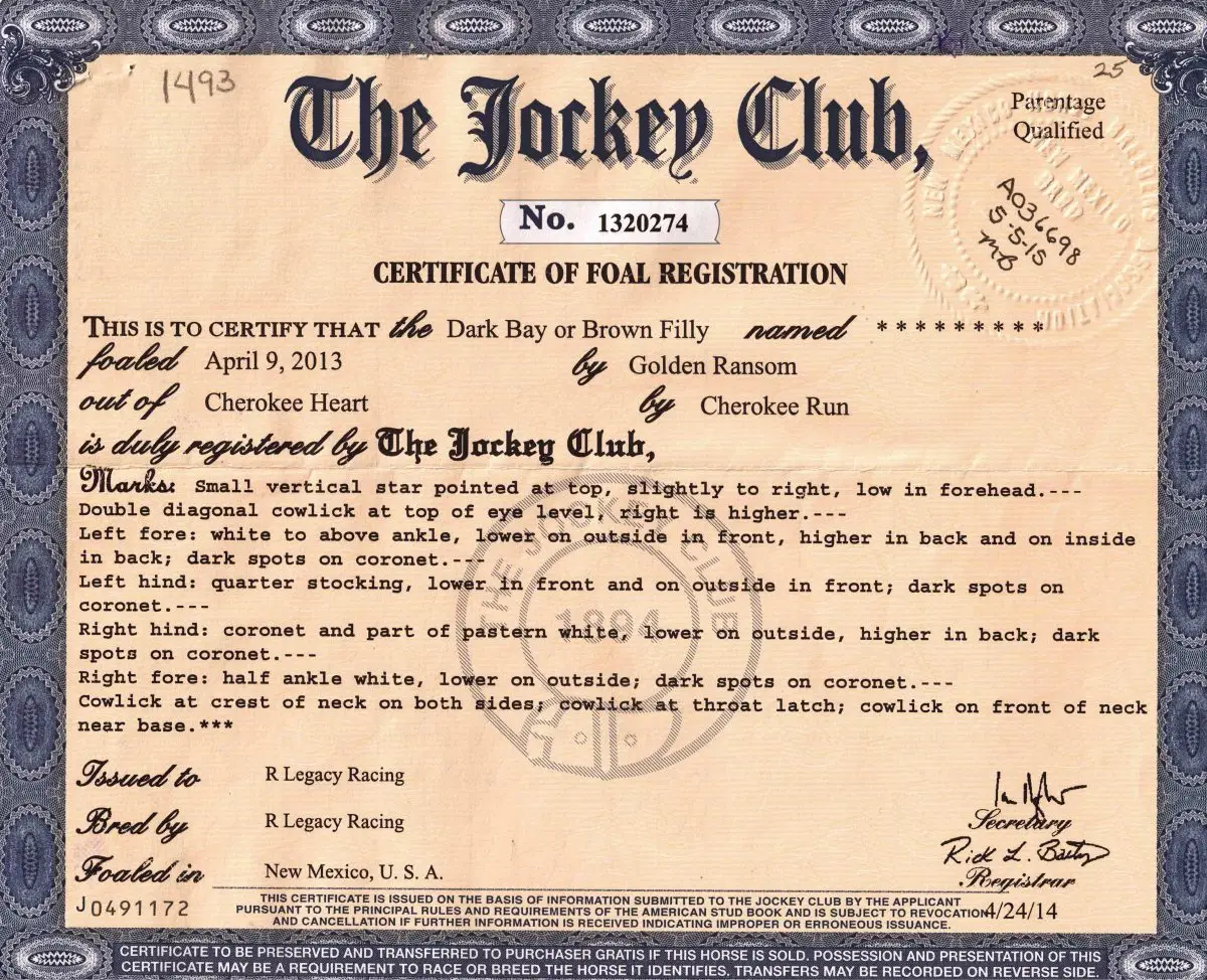 KenziBug - The Jockey Club - Certificate of Foal Registration