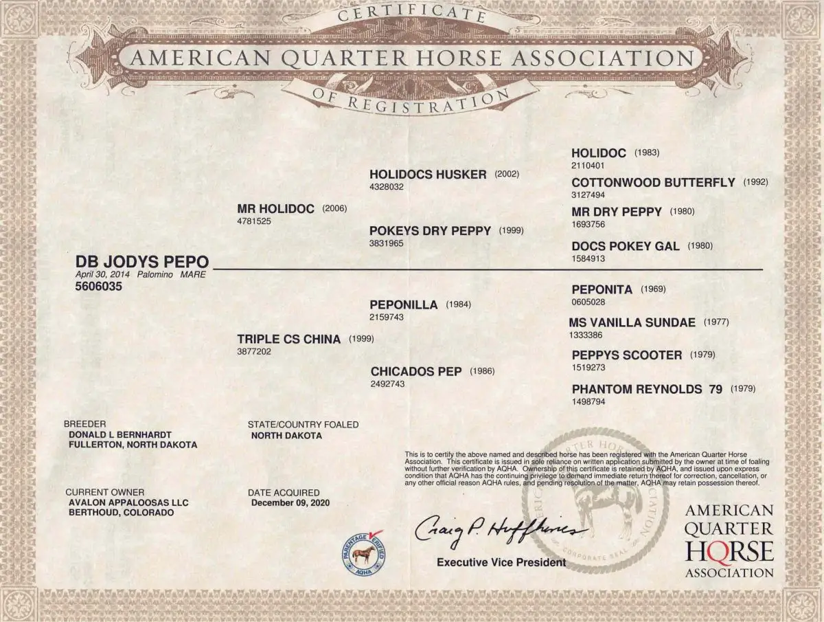 DB Jodys Pepo American Quarter Horse Association - Certificate of Registration