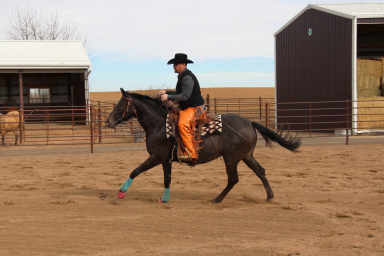 Wranglers Rendevous