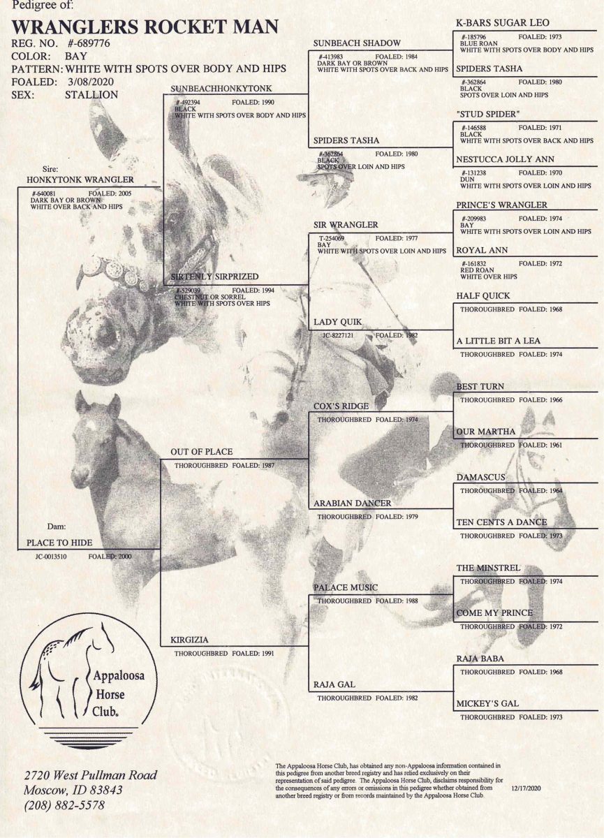 Sire: Honkytonk Wrangler Dam: PLace To Hide