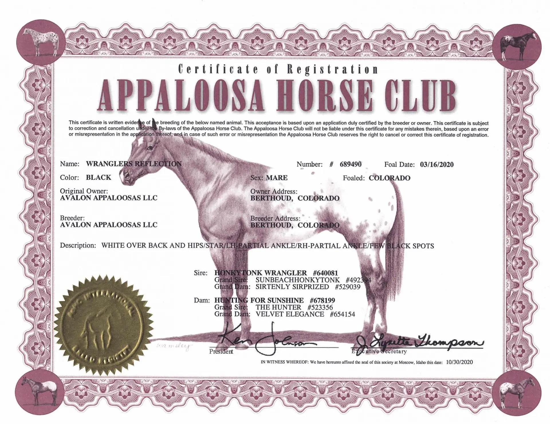 Wranglers Reflection - Certificate of foal registration - Appaloosa Horse Club