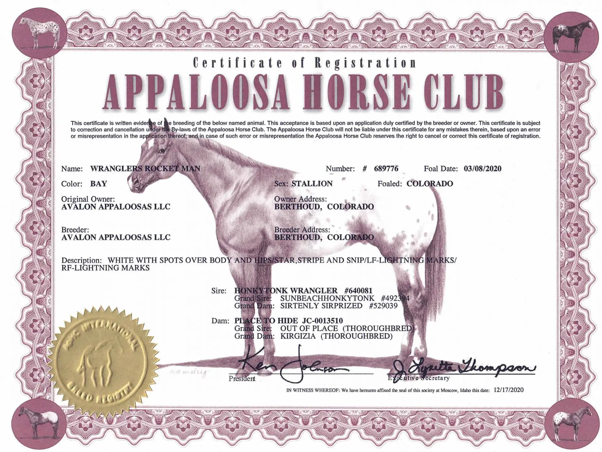Wranglers Rocket Man - Certificate of foal registration - Appaloosa Horse Club