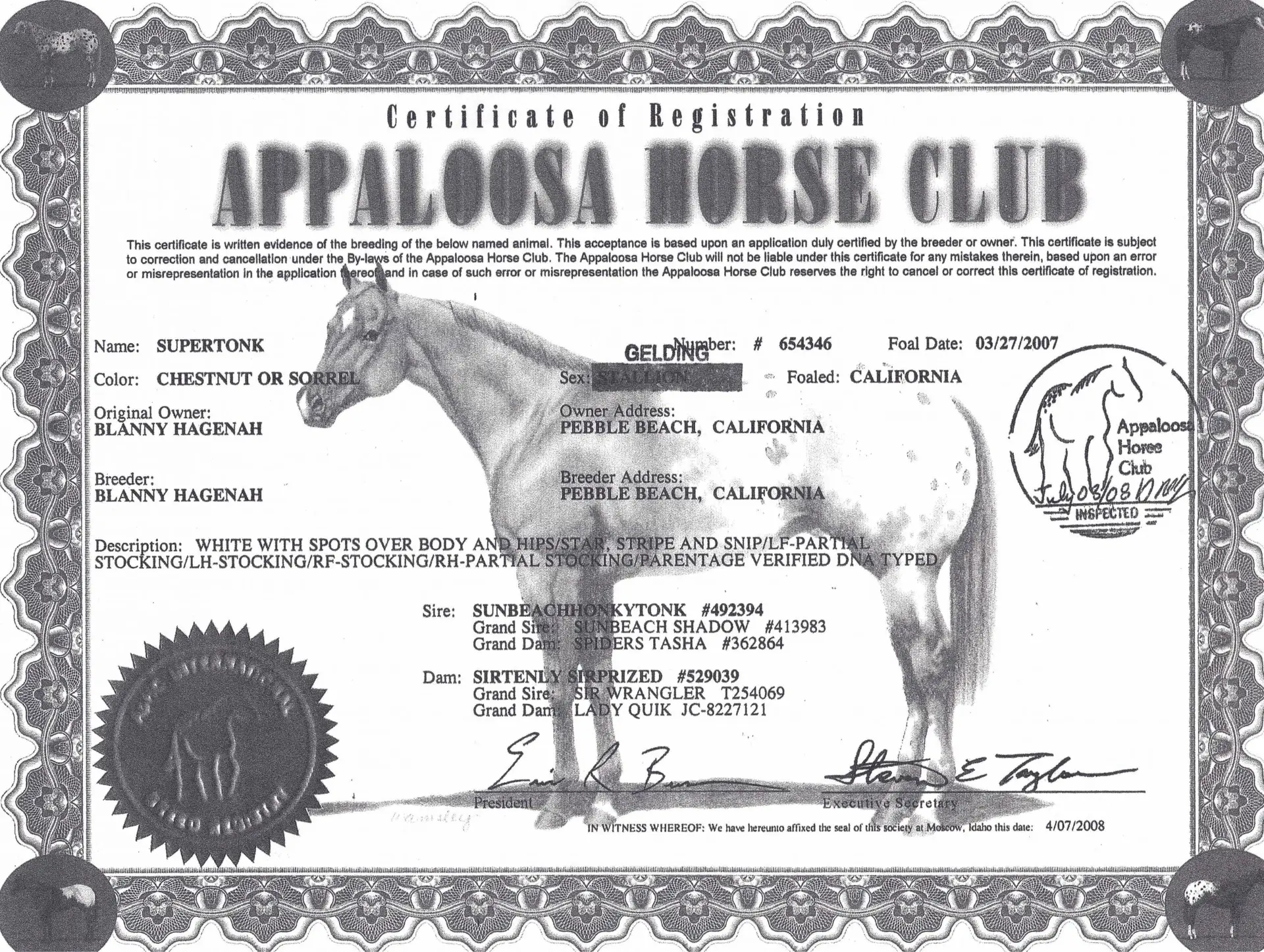 Supertonk - Certificate of registration - Appaloosa Horse Club