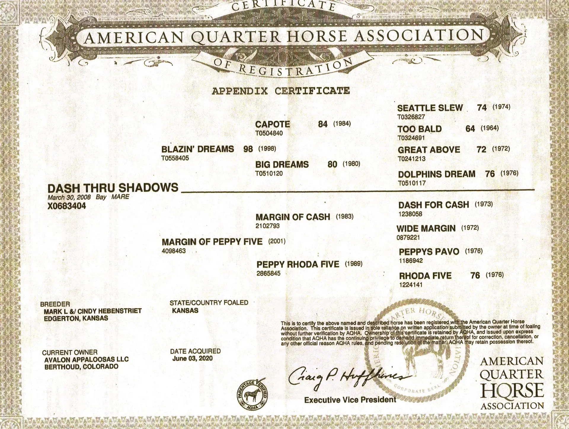 Dash Thru Shadows - Certificate of registration - American Quarter Horse Association