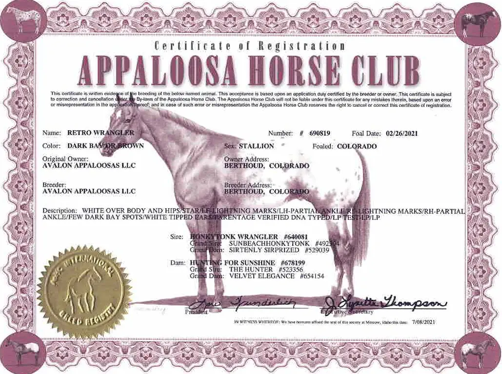 Retros Papers - Certificate of foal registration - Appaloosa Horse Club