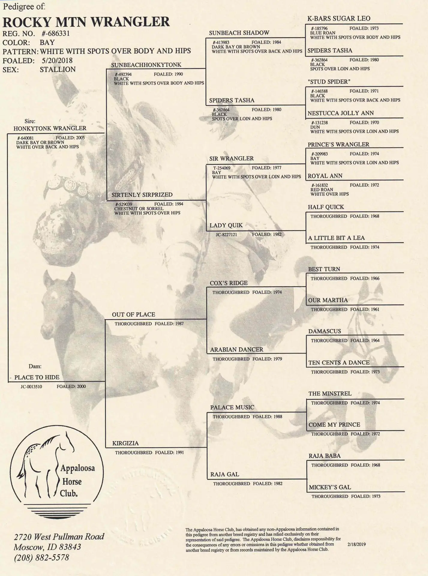 Rocky Colt MTN Wrangler pedigree certificate