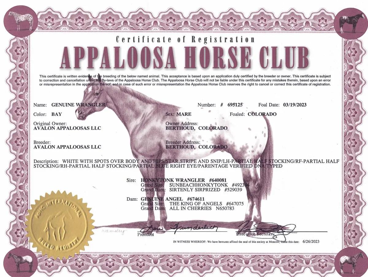 Genuine Wrangler Papers