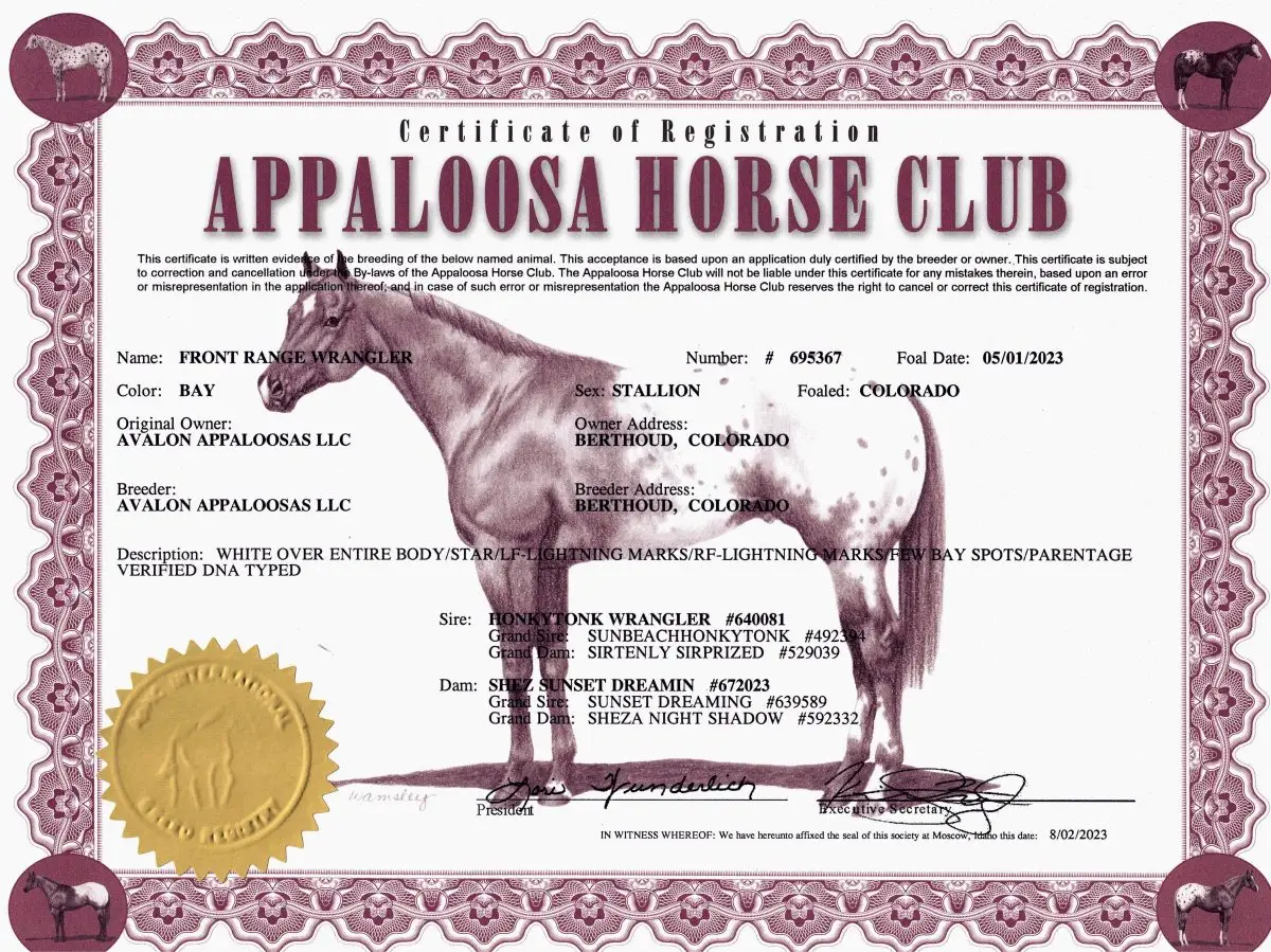 Front Range Wrangler - Certificate of Registration - Appaloosa Horse Club