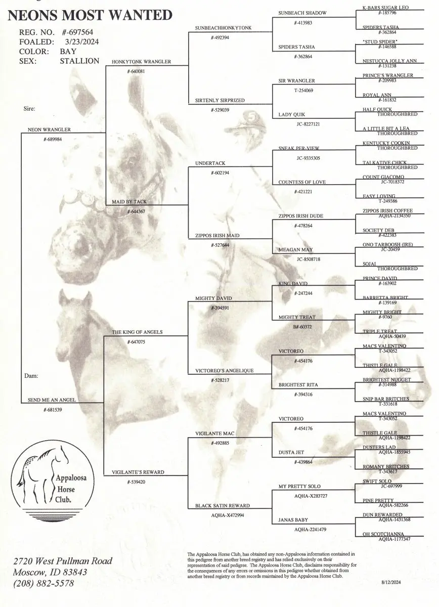 Neon's Most Wanted pedigree
