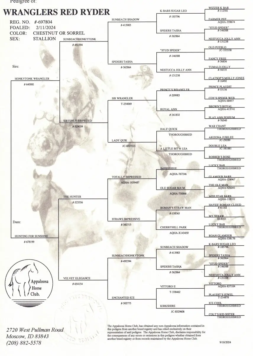 Wranglers Red Ryder Horse Foal Pedigree - Stallion