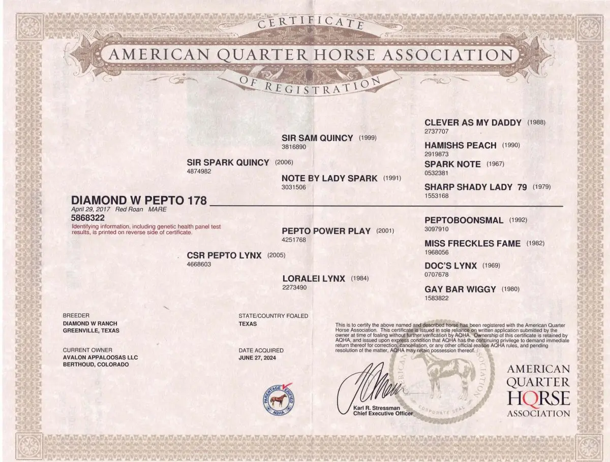 Diamond W Pepto 178 - American Quarter Horse Association